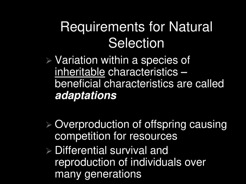 Requirements for Natural Selection