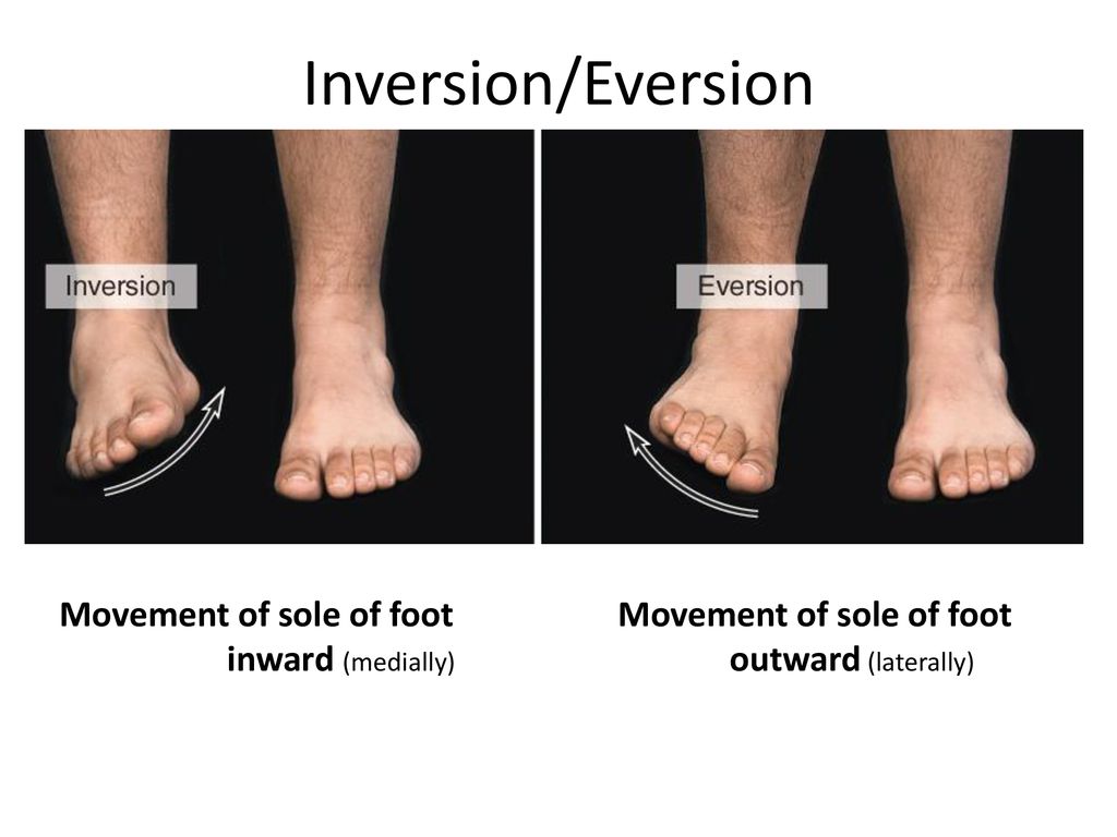 Joint movements ppt download