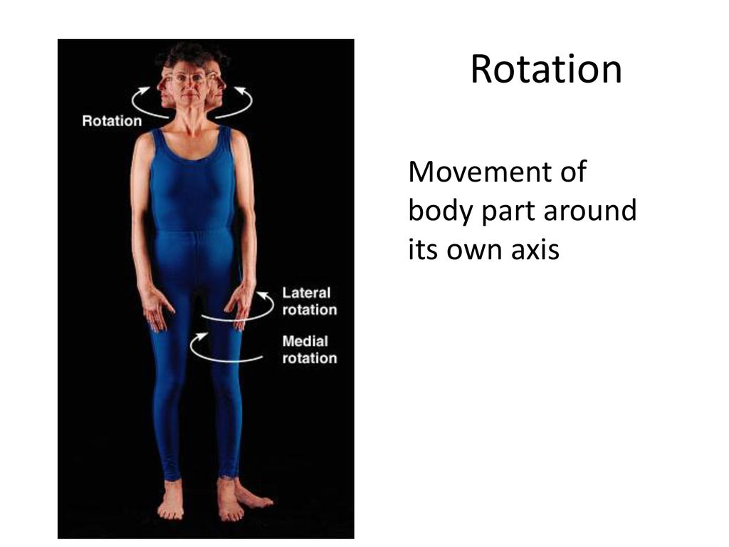 Example Of Rotation Movement