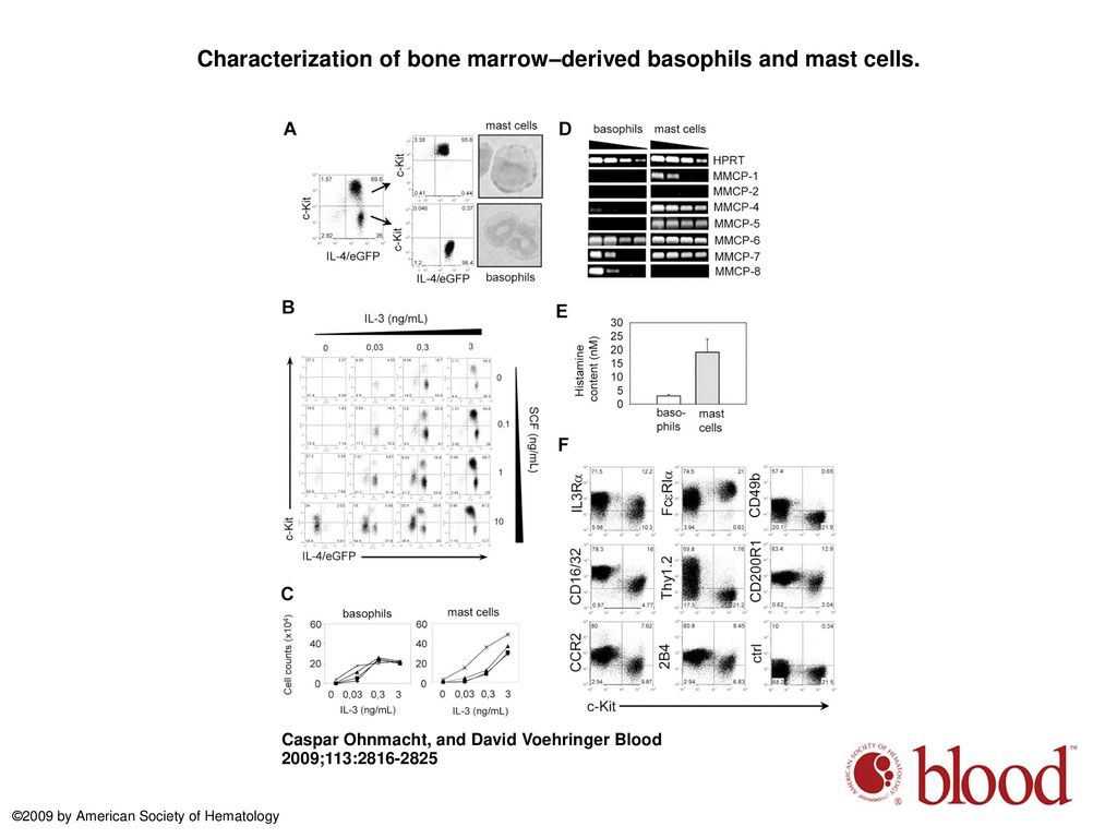 Characterization of bone marrow–derived basophils and mast cells.