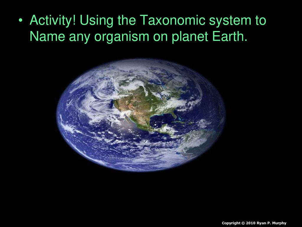 Activity! Using the Taxonomic system to Name any organism on planet Earth.