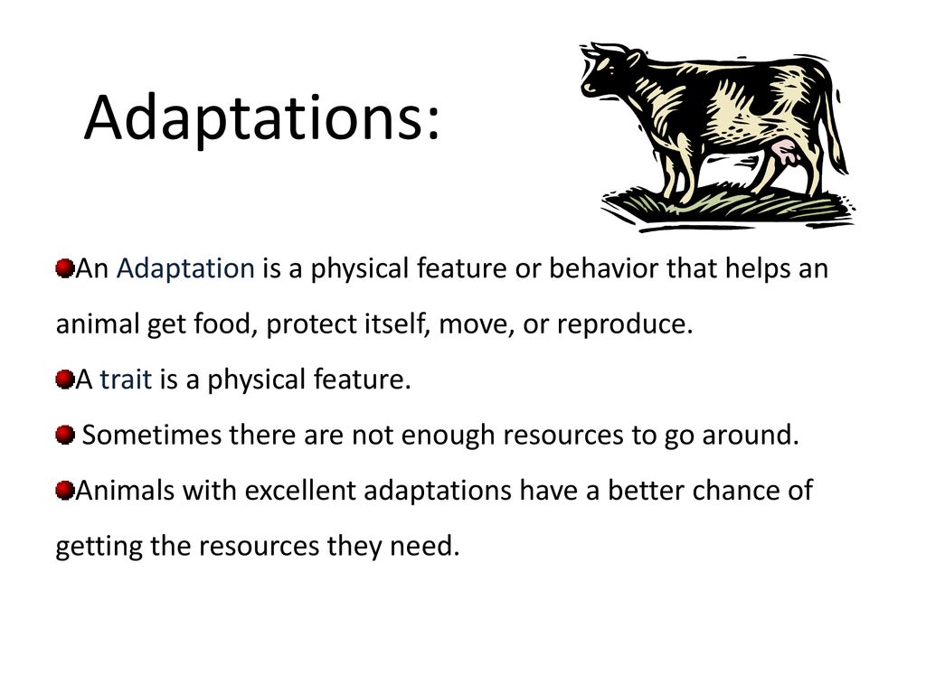 How Do Animals Adapt? Animals inherit characteristics from their parents.  These special features and behaviors help them survive. - ppt download