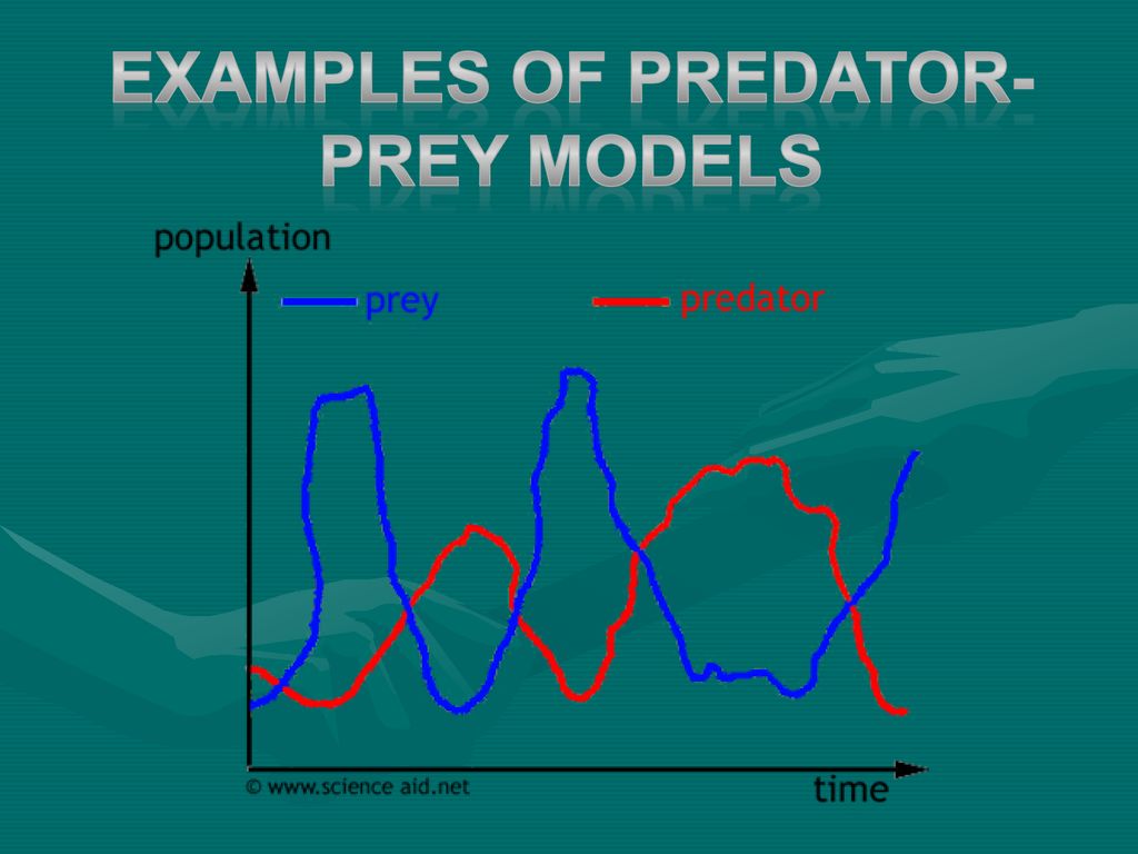 EXAMPLES OF PREDATOR-PREY MODELS