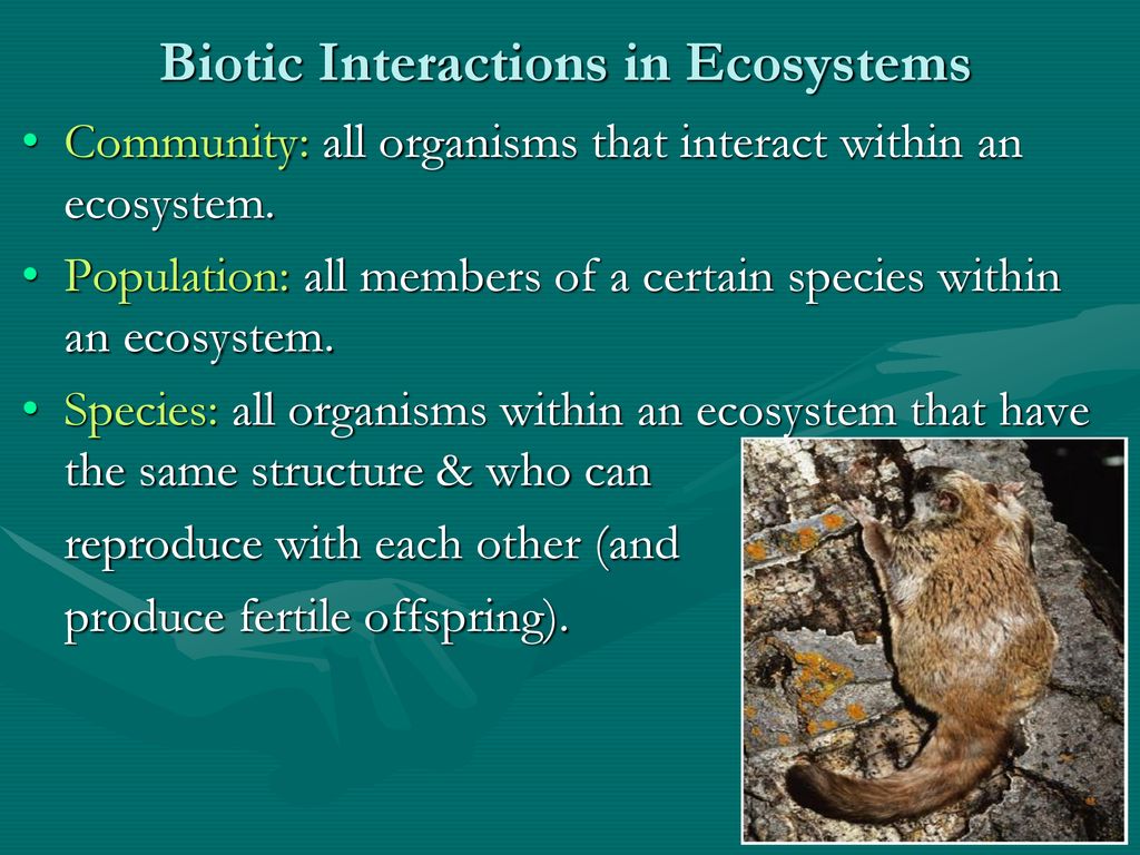 Biotic Interactions in Ecosystems