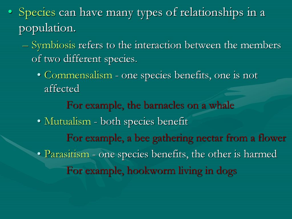 Species can have many types of relationships in a population.