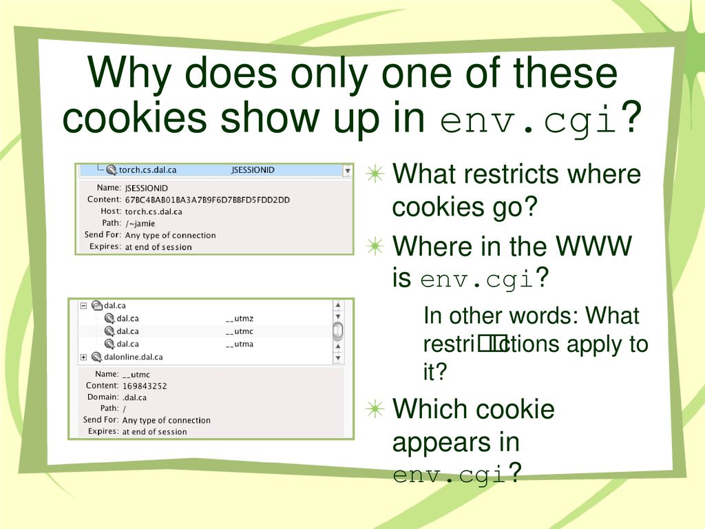 The mystery of the reappearing cookie ppt download