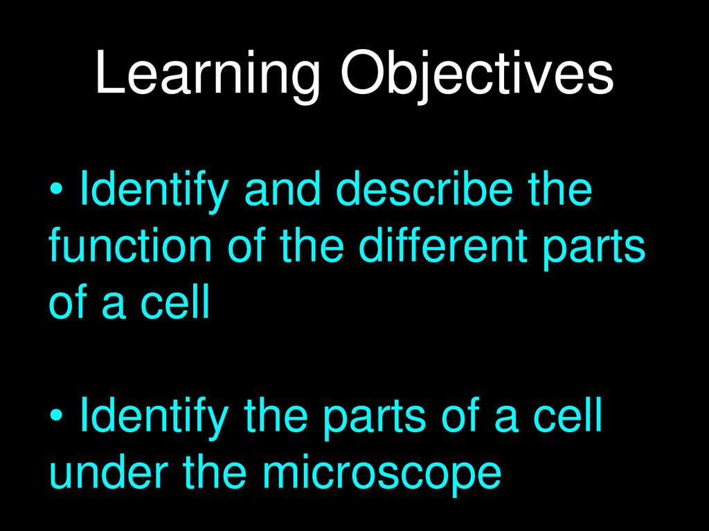 Learning Objectives Identify and describe the function of the different parts of a cell.