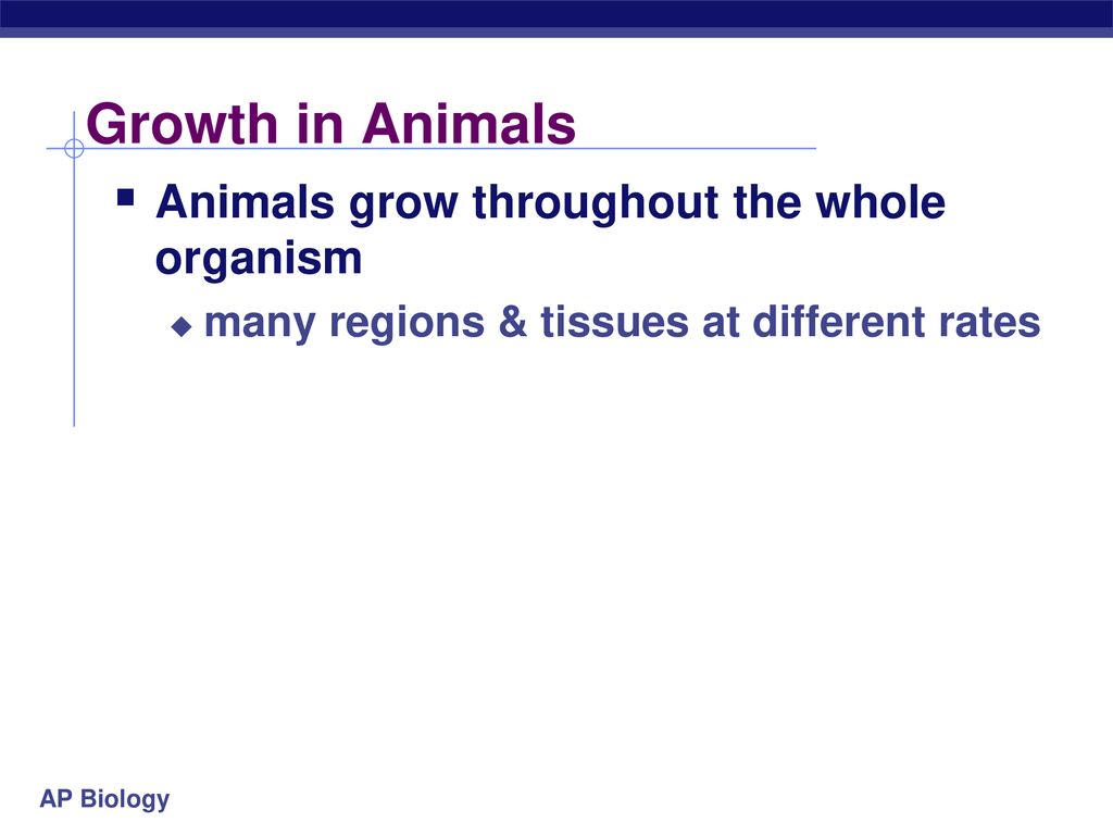 Plant Growth Ppt Download plant-growth-ppt-download