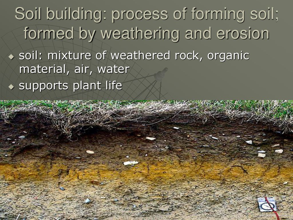 The Earth. ppt download