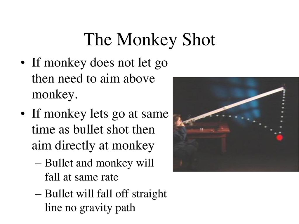 The Monkey Shot If monkey does not let go then need to aim above monkey. If monkey lets go at same time as bullet shot then aim directly at monkey.