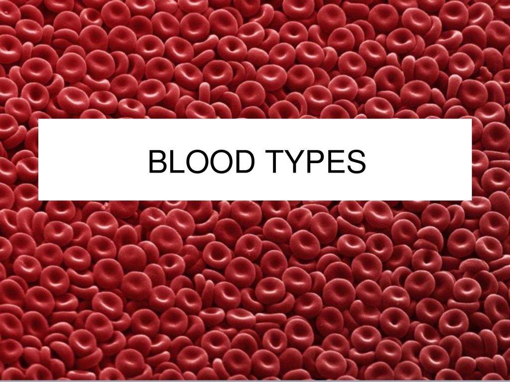 BLOOD TYPES Ppt Download blood-types-ppt-download