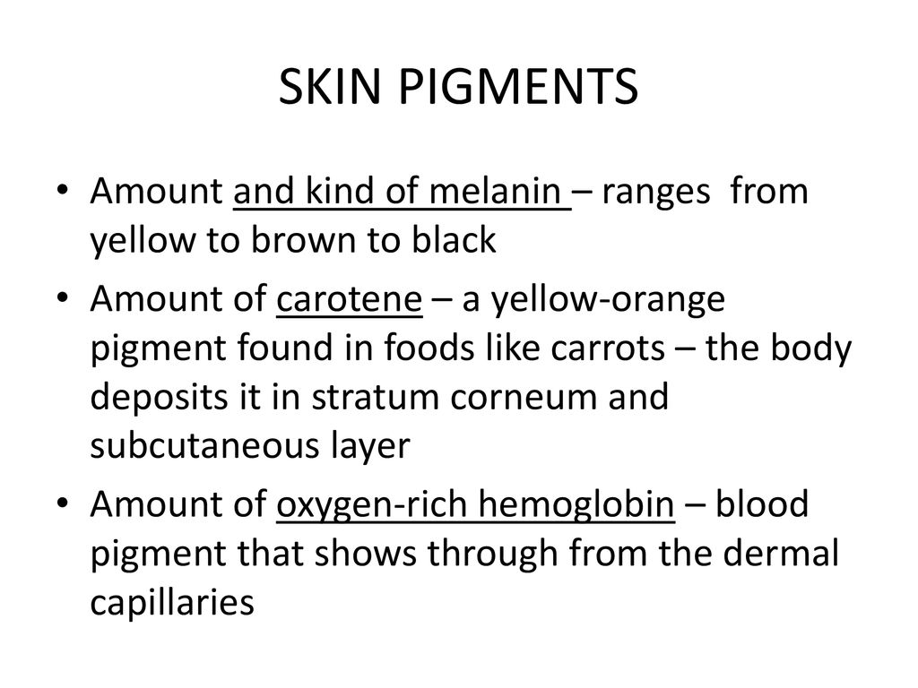 SKIN PIGMENTS Amount and kind of melanin – ranges from yellow to brown to black.