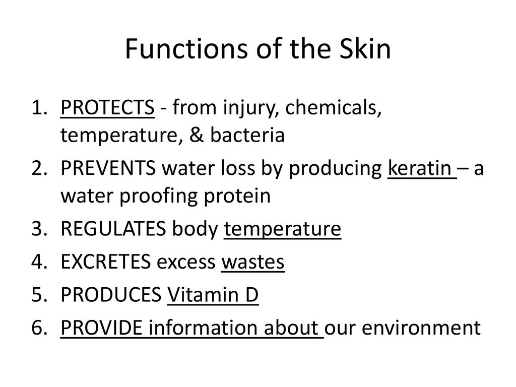 Functions of the Skin PROTECTS - from injury, chemicals, temperature, & bacteria.