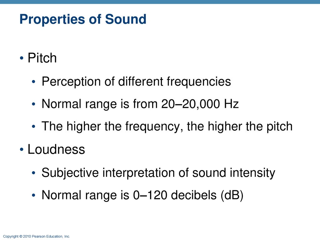 The Special Senses: Part D - ppt download