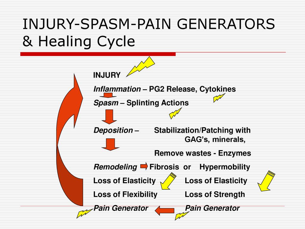 Rapid Differential Diagnosis of Pain Generators in Physical Medicine - ppt  download