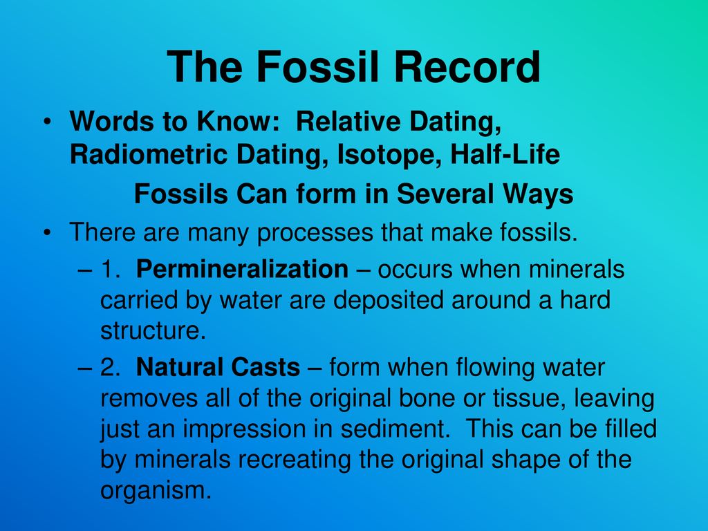 Review Questions Why can’t the Hardy Weinberg idea exist in our world? ppt download