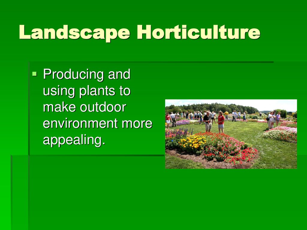 Chapter 1 Exploring The Horticulture Industry - ppt download