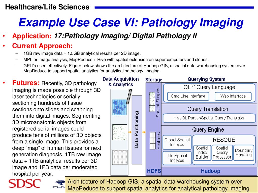 Healthcare/Life Sciences Example Use Case VI: Pathology Imaging