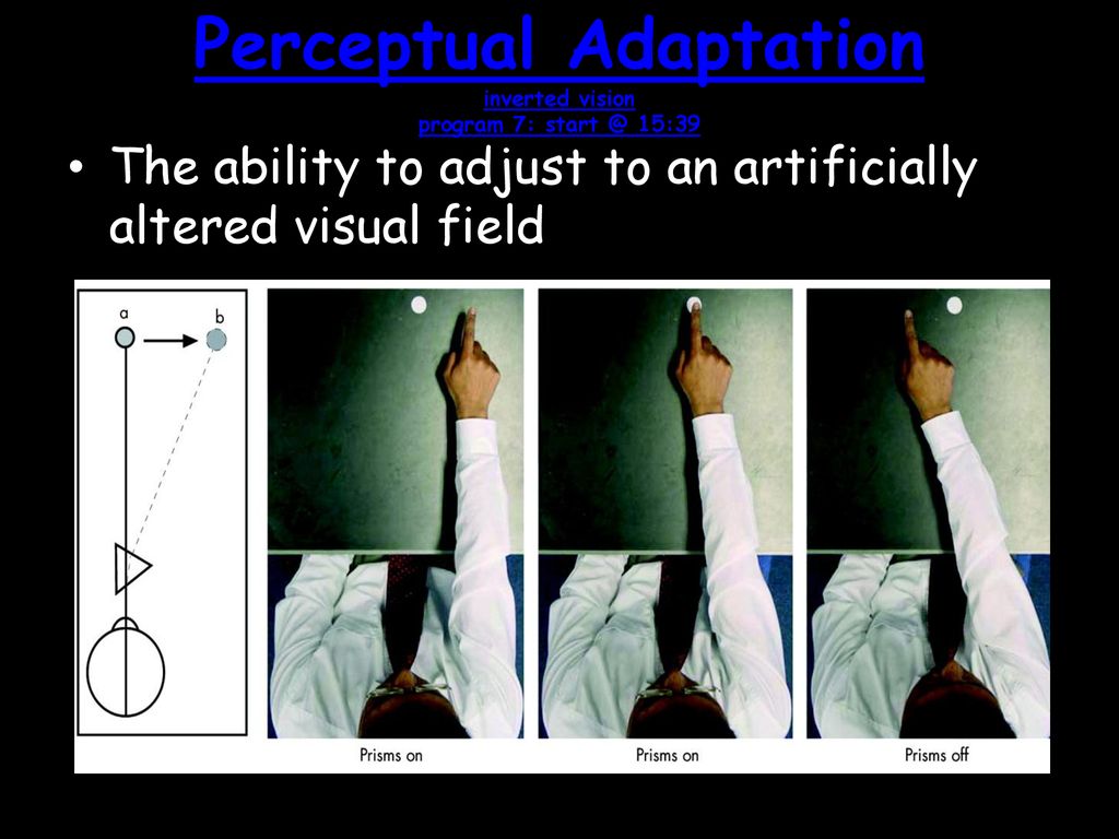Perceptual Adaptation inverted vision program 7: 15:39