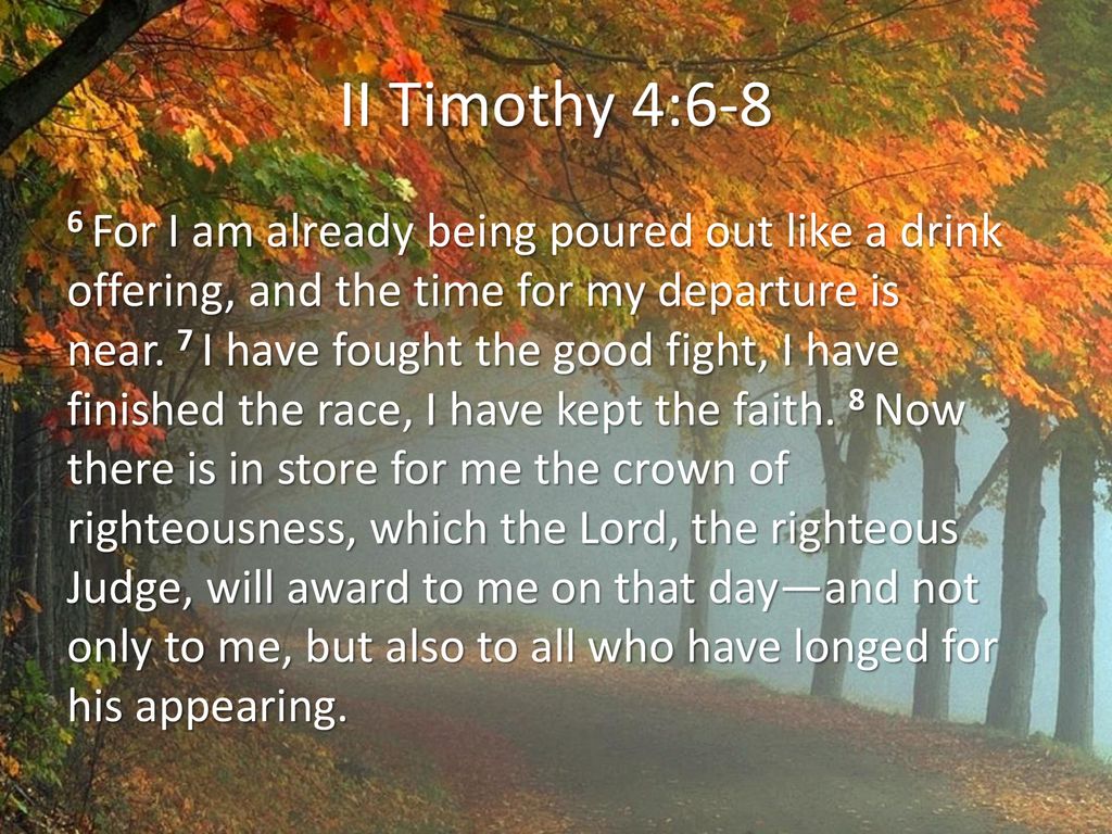 11 timothy 4 6 8