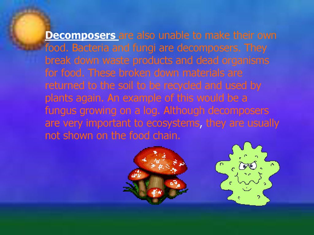 food-chains-notes-ppt-download