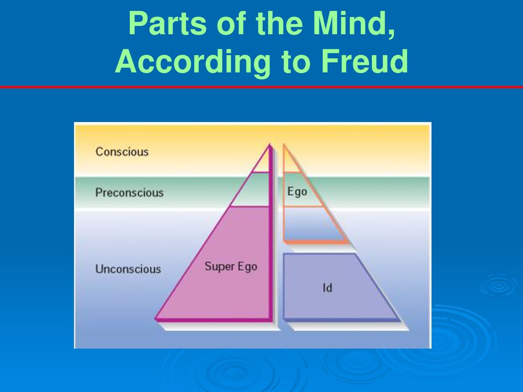Parts of the Mind, According to Freud
