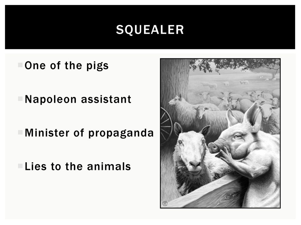 Animal Farm – Squealer. - ppt download