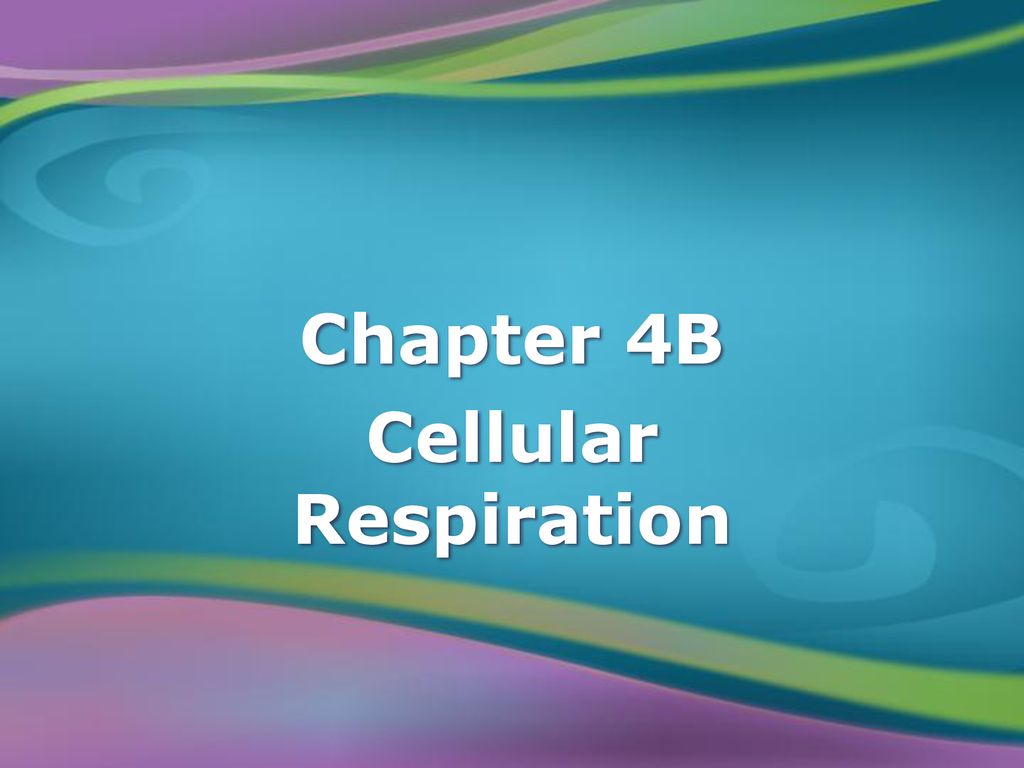 Chapter 4 Cell Activities. - Ppt Download