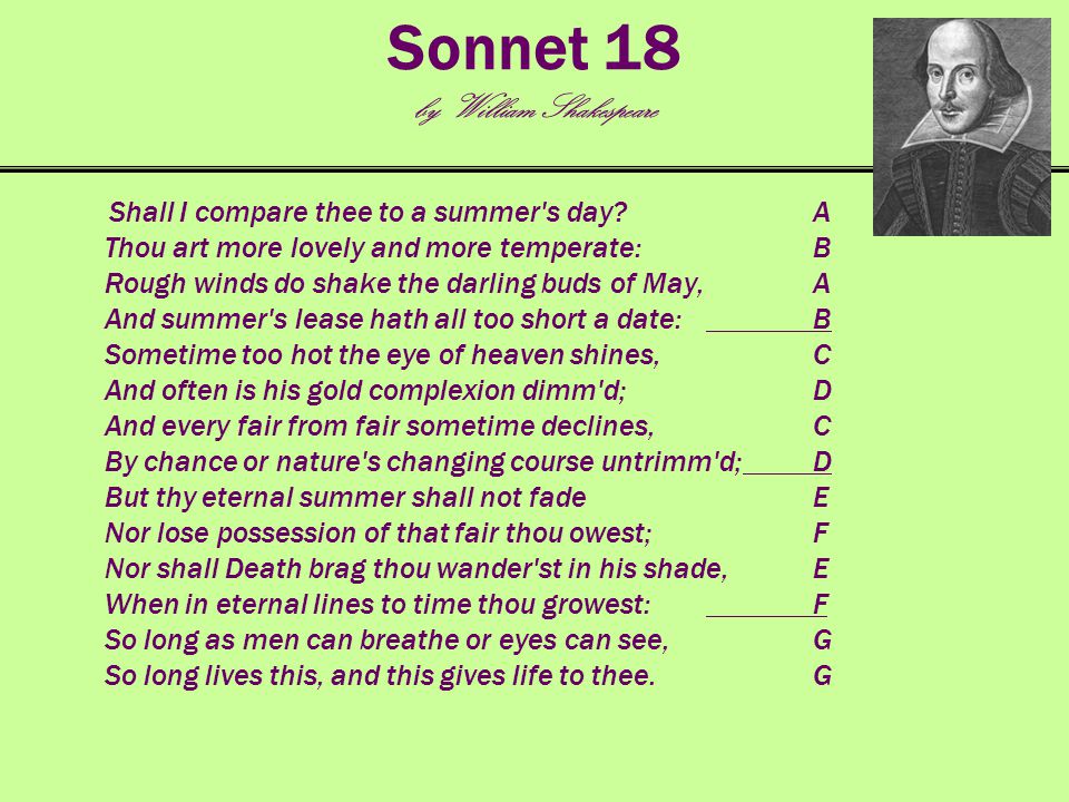 Сонет 18. Вильям Шекспир Сонет 66. Схема Сонета Шекспира. Сонет 18 Шекспир. Самые известные сонеты Шекспира.