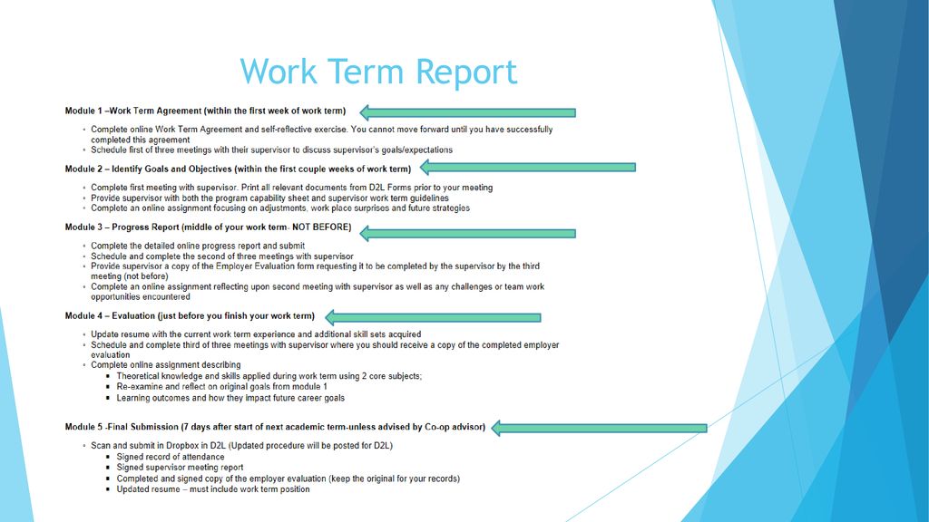 Terminal works. Терм репорт шаблоны. Report. Report on. • Additional skills пример.