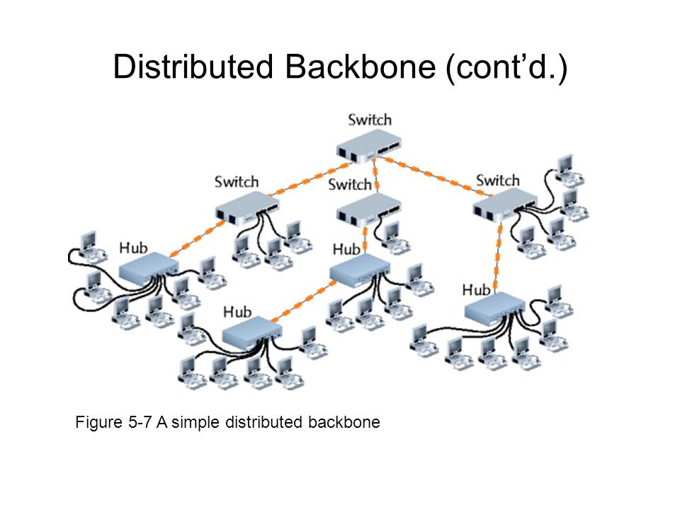 Network 5. Backbone Network.