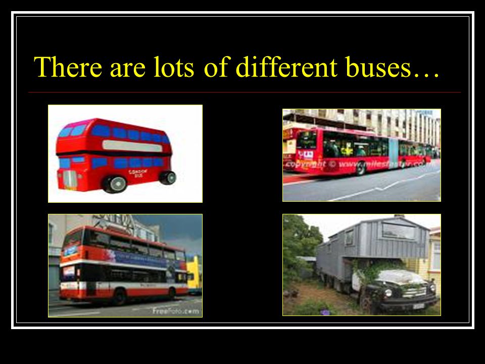 There are lots of different buses…