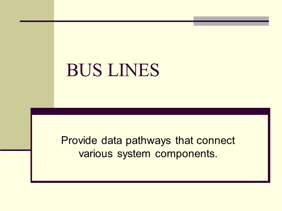Provide data pathways that connect various system components.