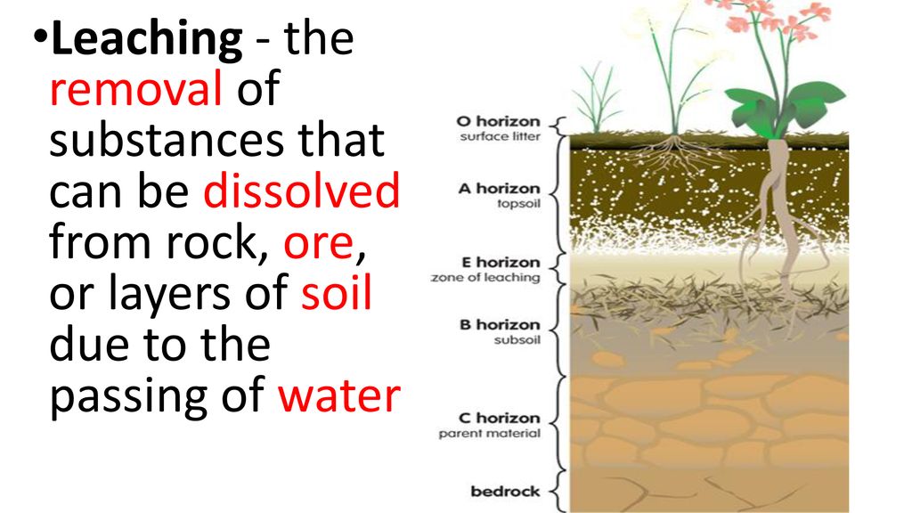 soil-ppt-download