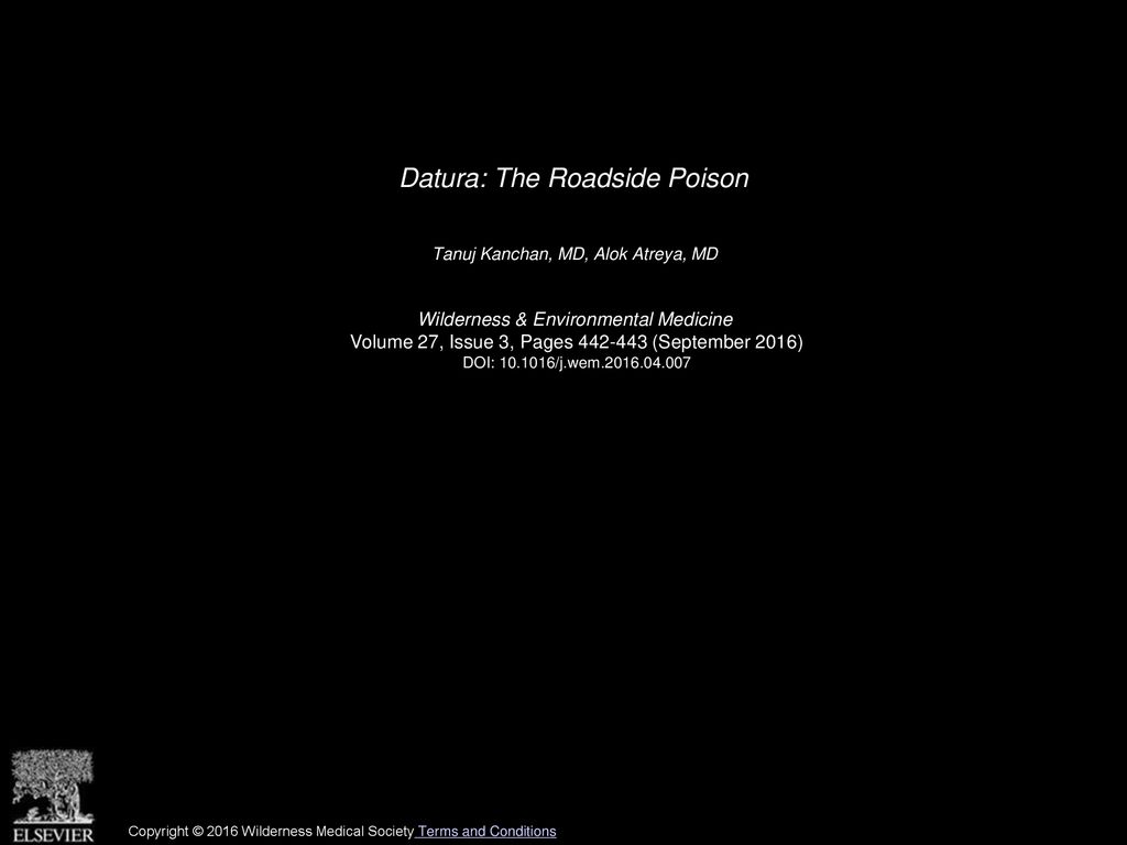 Datura: The Roadside Poison