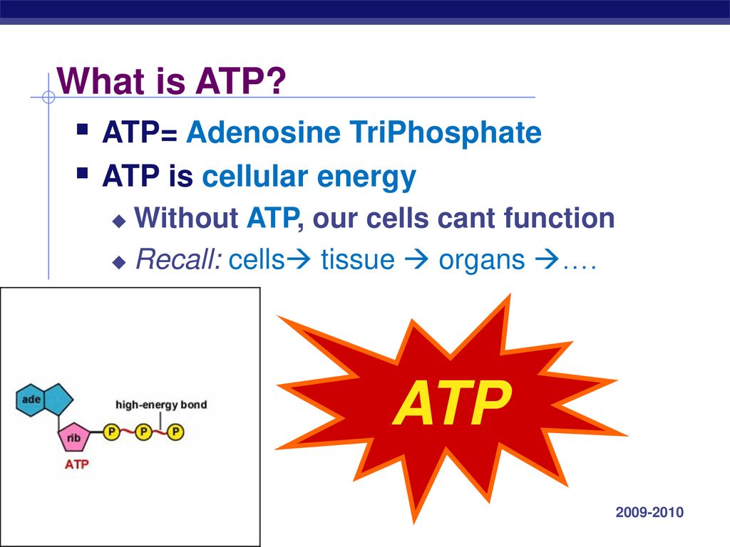 ATP What is ATP ATP= Adenosine TriPhosphate ATP is cellular energy