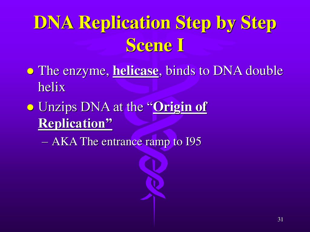 Welcome to the world of DNA - ppt download