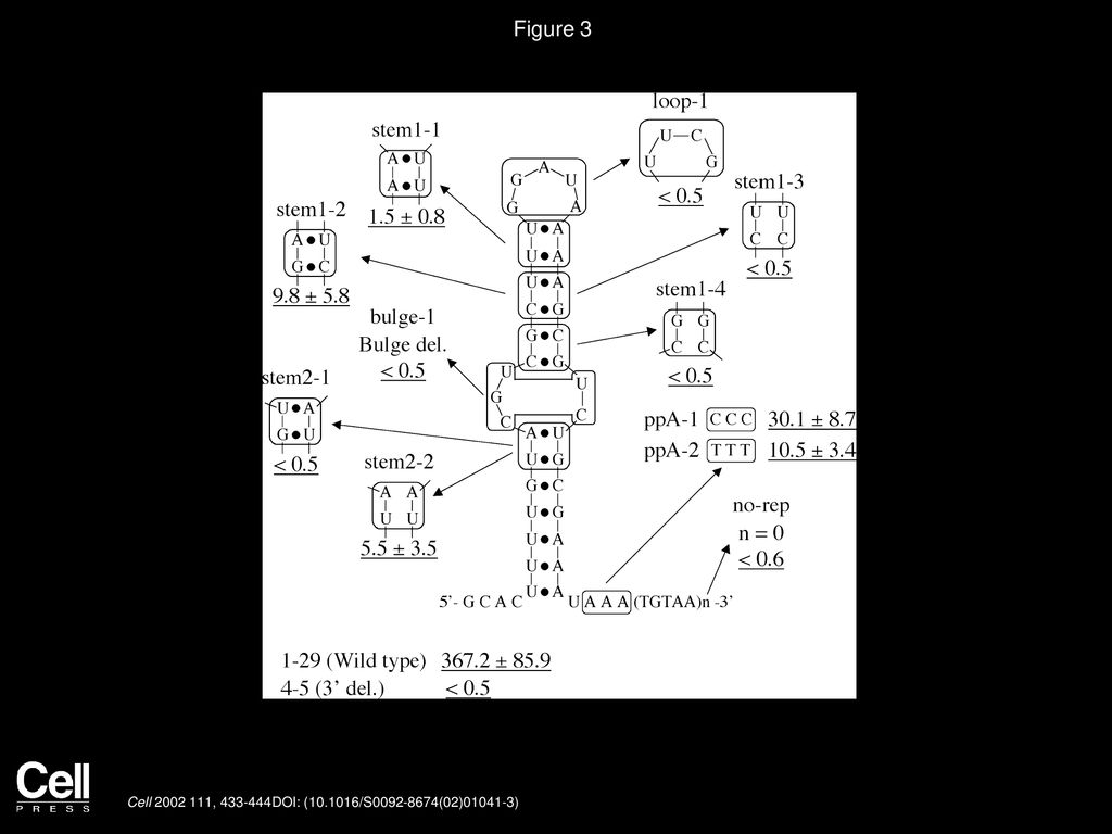 Figure 3 Mutations within the 3′ Conserved Tail Region Affect Retrotransposition.