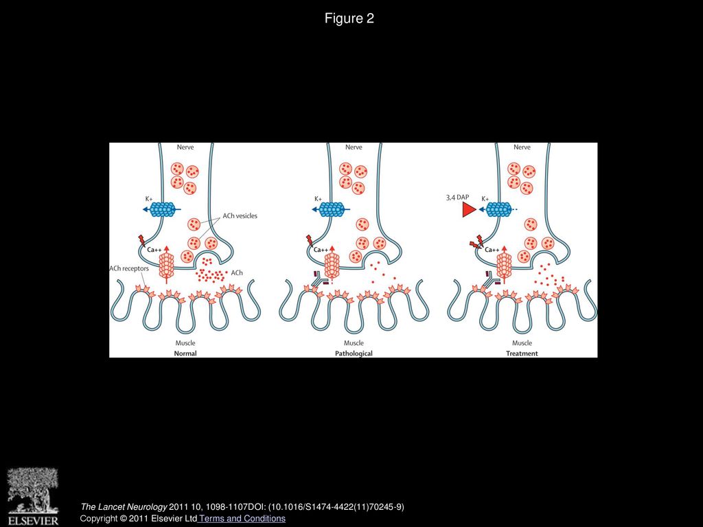 Volume 10 issue 12 pages december 2011 ppt download