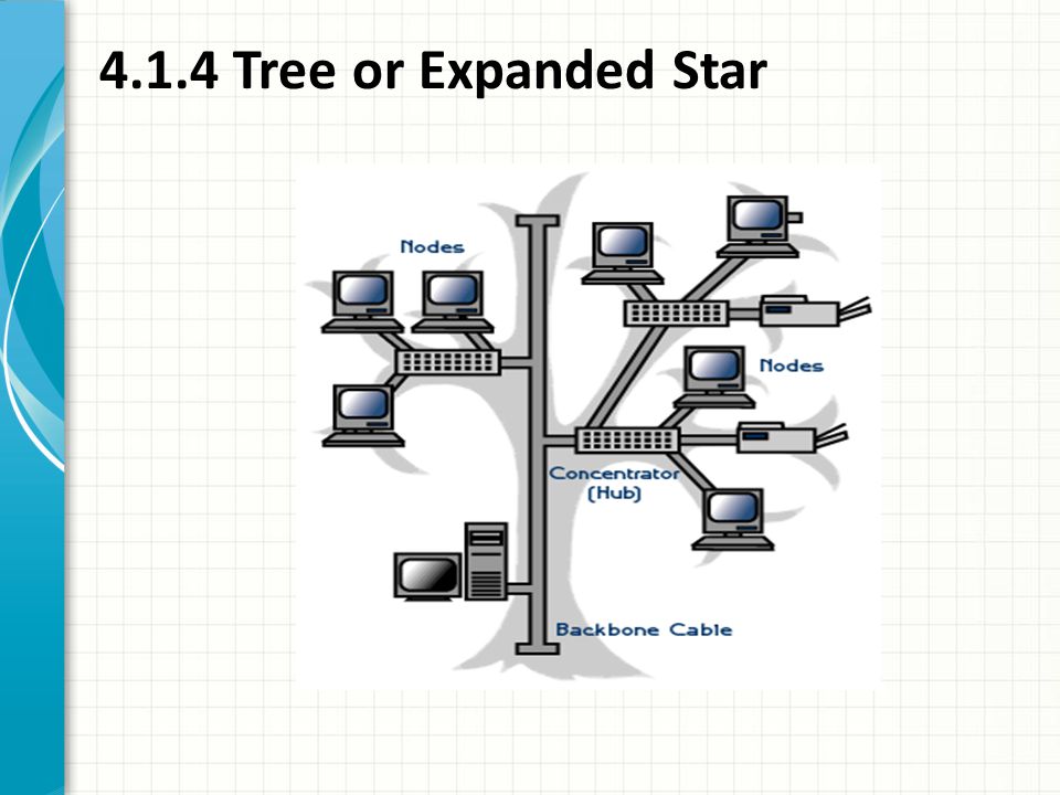 4.1.4 Tree or Expanded Star