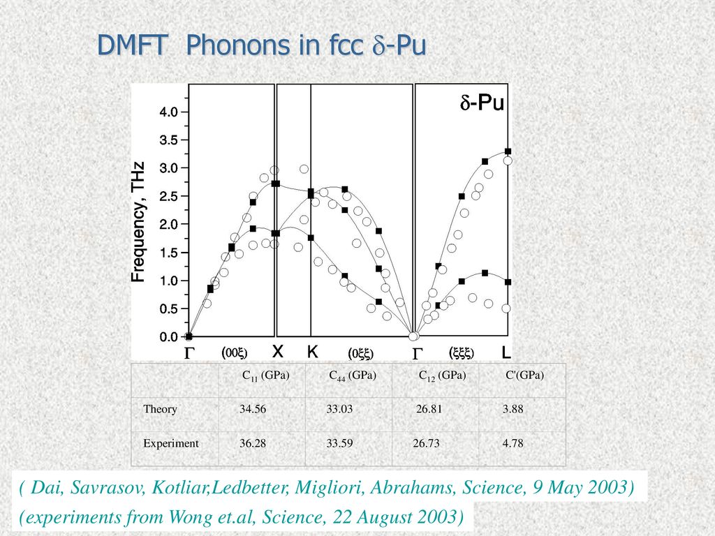 DMFT Phonons in fcc d-Pu