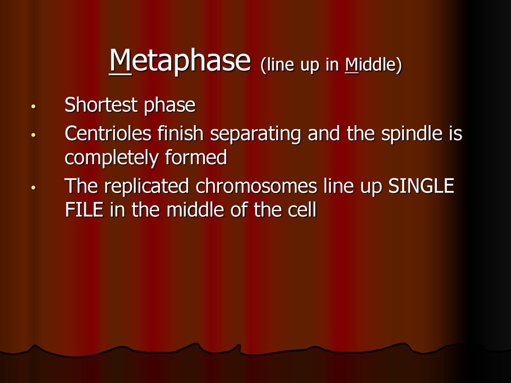 MITOSIS Why do cells reproduce? How do cells reproduce? Biology Diagrams