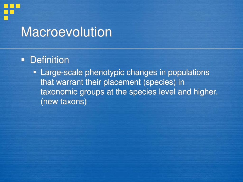 Macroevolution Definition