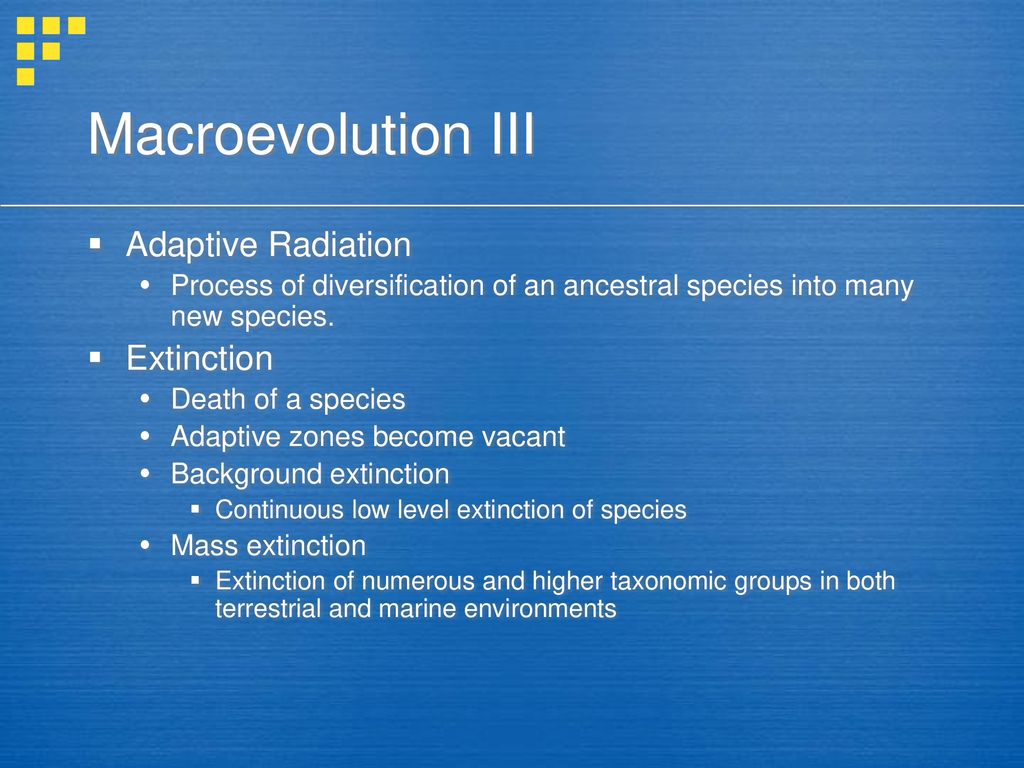 Macroevolution III Adaptive Radiation Extinction