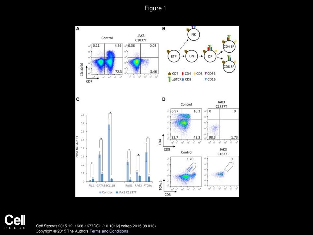 Figure 1 In Vitro Differentiation of JAK3 C1837T Patient iPSCs Recapitulates SCID Phenotypes.