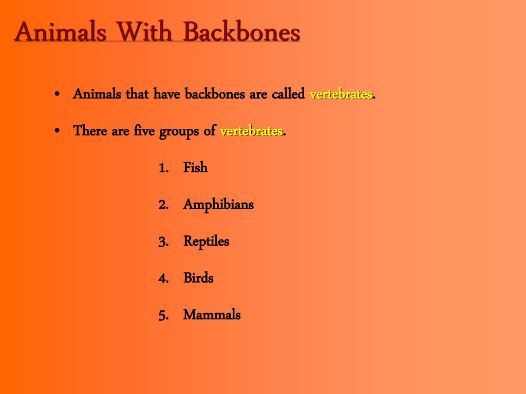 Comparing Living Things - ppt download