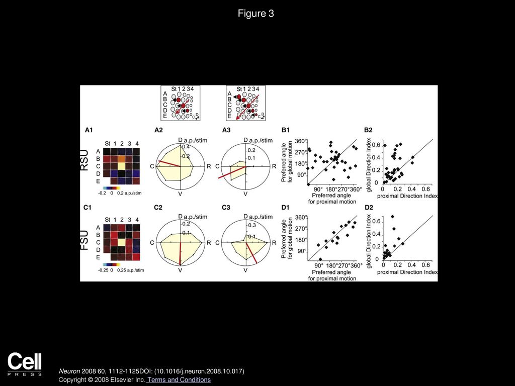 Figure 3 Comparison of Direction Selectivity between Global and Proximal Motion Protocols.