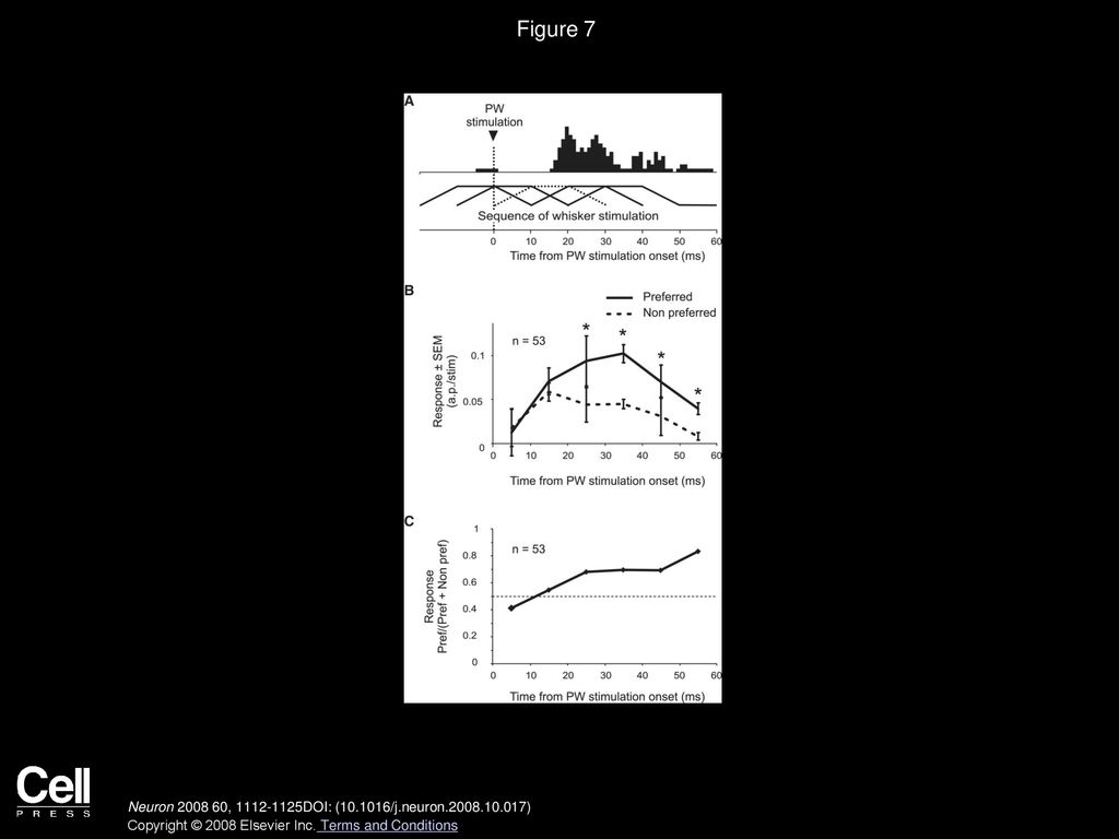 Figure 7 The Selectivity to Global Direction Builds Up Progressively