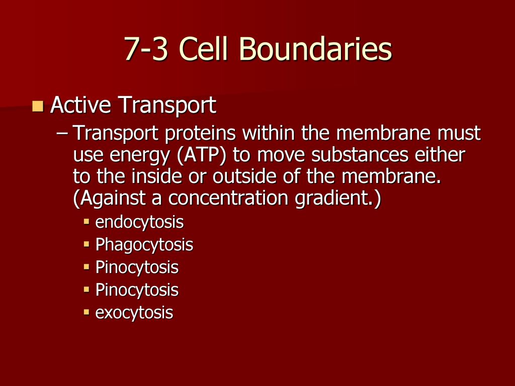 7-3 Cell Boundaries Active Transport