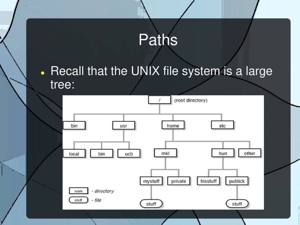 Shells, Help, and Paths. - ppt download